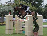 Leonardi Lasciva CsioArJYR SS7 7861 : CSIO Giovani Arezzo, Lasciva del Terriccio, Leonardi Matteo, foto Stefano Secchi ©