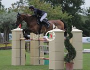 Leonardi Lasciva CsioArJYR SS7 7862 : CSIO Giovani Arezzo, Lasciva del Terriccio, Leonardi Matteo, foto Stefano Secchi ©