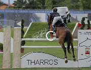 Leonardi Lasciva CsioArJYR SS7 7867 : CSIO Giovani Arezzo, Lasciva del Terriccio, Leonardi Matteo, foto Stefano Secchi ©