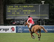 Manganotti Leap CsioArJYR SS7 8035 : CSIO Giovani Arezzo, Leap de Riverland, Manganotti Marcello, foto Stefano Secchi ©