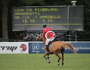 Manganotti Leap CsioArJYR SS7 8036 : CSIO Giovani Arezzo, Leap de Riverland, Manganotti Marcello, foto Stefano Secchi ©