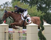 Marinakis Magic CsioArJYR SS7 7768 : CSIO Giovani Arezzo, Magic de France, Marinakis Ioannis, foto Stefano Secchi ©
