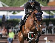 Martelli Octavio CsioArJYR SS7 8198 : CSIO Giovani Arezzo, Martelli Giovanni, Octavio, foto Stefano Secchi ©