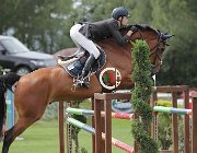 Martelli Octavio CsioArJYR SS7 8199 : CSIO Giovani Arezzo, Martelli Giovanni, Octavio, foto Stefano Secchi ©