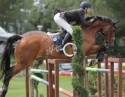 Martelli Octavio CsioArJYR SS7 8200 : CSIO Giovani Arezzo, Martelli Giovanni, Octavio, foto Stefano Secchi ©
