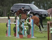 Martelli Octavio CsioArJYR SS7 8202 : CSIO Giovani Arezzo, Martelli Giovanni, Octavio, foto Stefano Secchi ©