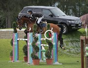 Martelli Octavio CsioArJYR SS7 8203 : CSIO Giovani Arezzo, Martelli Giovanni, Octavio, foto Stefano Secchi ©