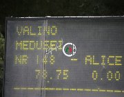 Medusei Valino CsioArJYR SS7 7652 : CSIO Giovani Arezzo, Medusei Alice, Valino, foto Stefano Secchi ©