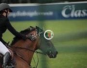 Medusei Valino CsioArJYR SS7 7966 : CSIO Giovani Arezzo, Medusei Alice, Valino, foto Stefano Secchi ©