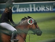 Medusei Valino CsioArJYR SS7 7968 : CSIO Giovani Arezzo, Medusei Alice, Valino, foto Stefano Secchi ©