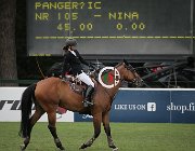 Medusei Valino CsioArJYR SS7 7970 : CSIO Giovani Arezzo, Medusei Alice, Valino, foto Stefano Secchi ©