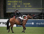 Medusei Valino CsioArJYR SS7 7971 : CSIO Giovani Arezzo, Medusei Alice, Valino, foto Stefano Secchi ©