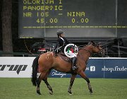 Medusei Valino CsioArJYR SS7 7973 : CSIO Giovani Arezzo, Medusei Alice, Valino, foto Stefano Secchi ©