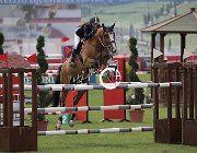 Mitilineou Equitta CsioArJYR SS7 7938 : CSIO Giovani Arezzo, Equitta, Mitilineou Ioli, foto Stefano Secchi ©
