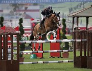 Mitilineou Equitta CsioArJYR SS7 7939 : CSIO Giovani Arezzo, Equitta, Mitilineou Ioli, foto Stefano Secchi ©