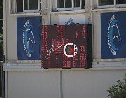 Morucci Mirabelle CsioArJYR SS7 7096 : CSIO Giovani Arezzo, Mirabelle St Hubert, Morucci Sara, foto Stefano Secchi ©