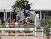 Mosca Bikkel CsioArJYR SS7 7227 : Bikkel OH, CSIO Giovani Arezzo, Mosca Valerio, foto Stefano Secchi ©