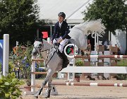 Mosca Bikkel CsioArJYR SS7 7228 : Bikkel OH, CSIO Giovani Arezzo, Mosca Valerio, foto Stefano Secchi ©