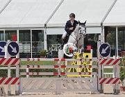 Mosca Bikkel CsioArJYR SS7 7230 : Bikkel OH, CSIO Giovani Arezzo, Mosca Valerio, foto Stefano Secchi ©