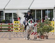 Mosca Bikkel CsioArJYR SS7 7233 : Bikkel OH, CSIO Giovani Arezzo, Mosca Valerio, foto Stefano Secchi ©