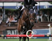 Nocerino Zora CsioArJYR SS7 8287 : CSIO Giovani Arezzo, Nocerino Roberto, Zora VHP, foto Stefano Secchi ©