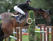 Nocerino Zora CsioArJYR SS7 8289 : CSIO Giovani Arezzo, Nocerino Roberto, Zora VHP, foto Stefano Secchi ©