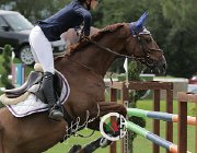 Olivieri Grossino CsioArJYR SS7 8410 : CSIO Giovani Arezzo, Grossino, Olivieri Vittoria, foto Stefano Secchi ©