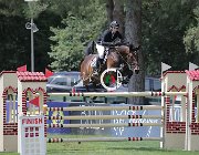 Pangeric Glorija CsioArJYR SS7 7379 : CSIO Giovani Arezzo, Glorija, Pangeric Nina, foto Stefano Secchi ©