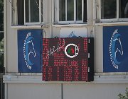 Picchi Alanise CsioArJYR SS7 7108 : Buhofer Margherita, CSIO Giovani Arezzo, Piketta, foto Stefano Secchi ©