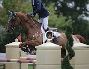 Pirovano Olem CsioArJYR SS7 7568 : CSIO Giovani Arezzo, Olem Choisi, Pirovano Gianluca, foto Stefano Secchi ©