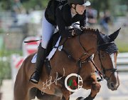 Popp Arabella CsioArJYR SS7 7078 : Arabella II, CSIO Giovani Arezzo, Popp Selini, foto Stefano Secchi ©