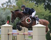 Prandi Gioia CsioArJYR SS7 7904 : CSIO Giovani Arezzo, Gioia del Castegno, Prandi Francesco, foto Stefano Secchi ©