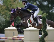 Previtali Quintus CsioArJYR SS7 7438 : CSIO Giovani Arezzo, Previtali Michele, Quintus, foto Stefano Secchi ©