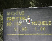 Previtali Quintus CsioArJYR SS7 7447 : CSIO Giovani Arezzo, Previtali Michele, Quintus, foto Stefano Secchi ©