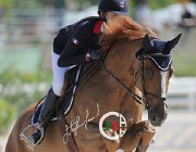 Real Rhum CsioArJYR SS7 7072 : CSIO Giovani Arezzo, Real del Sarte Jade, Rhum de Lian, foto Stefano Secchi ©