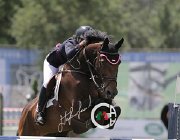 Reich Djambo CsioArJYR SS7 7317 : CSIO Giovani Arezzo, Djambo, Reich Alessandra, foto Stefano Secchi ©