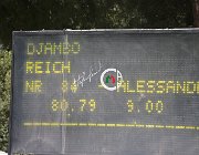 Reich Djambo CsioArJYR SS7 7325 : CSIO Giovani Arezzo, Djambo, Reich Alessandra, foto Stefano Secchi ©