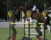 Rocuet Lewin CsioArJYR SS7 8440 : CSIO Giovani Arezzo, Lewin 5, Rocuet Margaux, foto Stefano Secchi ©