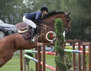 Rosati Estee CsioArJYR SS7 8207 : CSIO Giovani Arezzo, Estee VB, Rosati Flaminia, foto Stefano Secchi ©