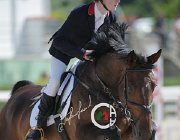 Sciacca Webster CsioArJYR SS7 7060 : CSIO Giovani Arezzo, Sciacca Lorenzo, Webster, foto Stefano Secchi ©