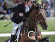 Sciacca Webster CsioArJYR SS7 7061 : CSIO Giovani Arezzo, Sciacca Lorenzo, Webster, foto Stefano Secchi ©