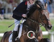 Sciacca Webster CsioArJYR SS7 7062 : CSIO Giovani Arezzo, Sciacca Lorenzo, Webster, foto Stefano Secchi ©