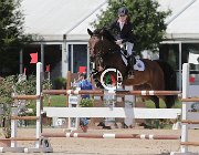 Sciacca Webster CsioArJYR SS7 7239 : CSIO Giovani Arezzo, Lili Marlen, Sciacca Lorenzo, foto Stefano Secchi ©