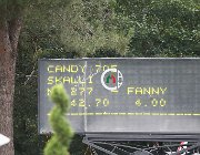 Skalli Candy CsioArJYR SS8 3491 : CSIO Giovani Arezzo, Candy 705, Skalli Fanny, foto Stefano Secchi ©