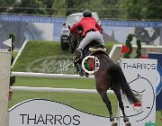 Vacirca Zeta CsioArJYR SS7 7662 : CSIO Giovani Arezzo, Vacirca Ernesto, Zeta di Sabuci, foto Stefano Secchi ©