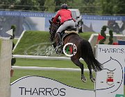Vacirca Zeta CsioArJYR SS7 7663 : CSIO Giovani Arezzo, Vacirca Ernesto, Zeta di Sabuci, foto Stefano Secchi ©