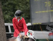 Vacirca Zeta CsioArJYR SS7 7669 : CSIO Giovani Arezzo, Vacirca Ernesto, Zeta di Sabuci, foto Stefano Secchi ©
