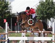 Viglioli Wembley CsioArJYR SS7 7217 : CSIO Giovani Arezzo, Viglioli Laura, Wembley, foto Stefano Secchi ©