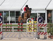 Viglioli Wembley CsioArJYR SS7 7218 : CSIO Giovani Arezzo, Viglioli Laura, Wembley, foto Stefano Secchi ©