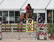 Viglioli Wembley CsioArJYR SS7 7219 : CSIO Giovani Arezzo, Viglioli Laura, Wembley, foto Stefano Secchi ©